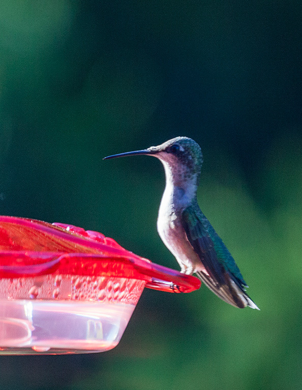 %_tempFileName20160805_2134w%