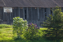 %_tempFileName20170519_0354w%