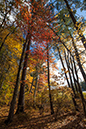 %_tempFileName20181030_0666w%