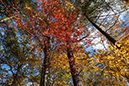 %_tempFileName20181030_0667w%