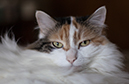 %_tempFileName20190221_0463w%