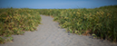 %_tempFileName20190726_1461w%