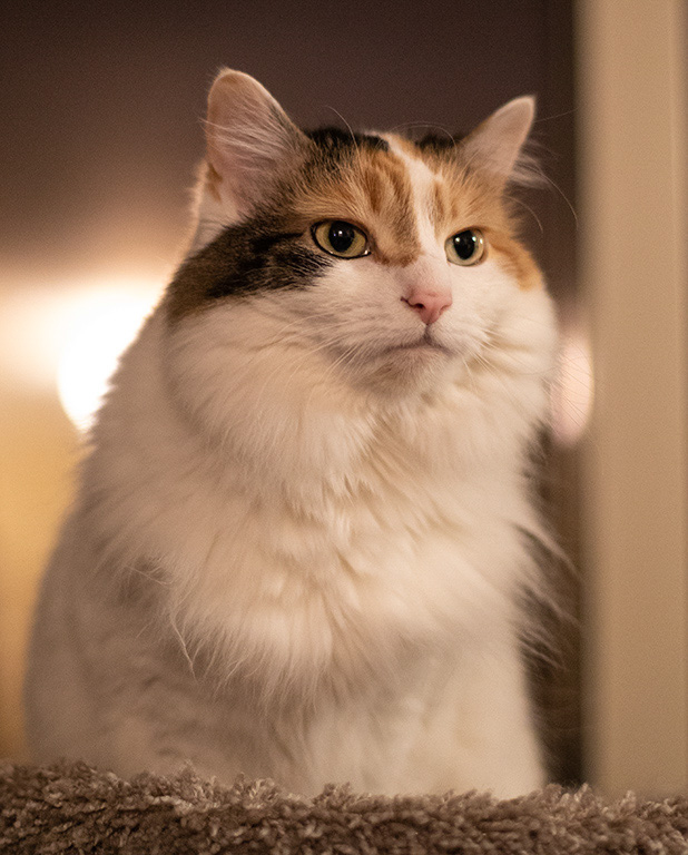 %_tempFileName20200215_0052w%