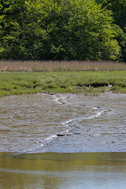 %_tempFileName20200608_0235w%