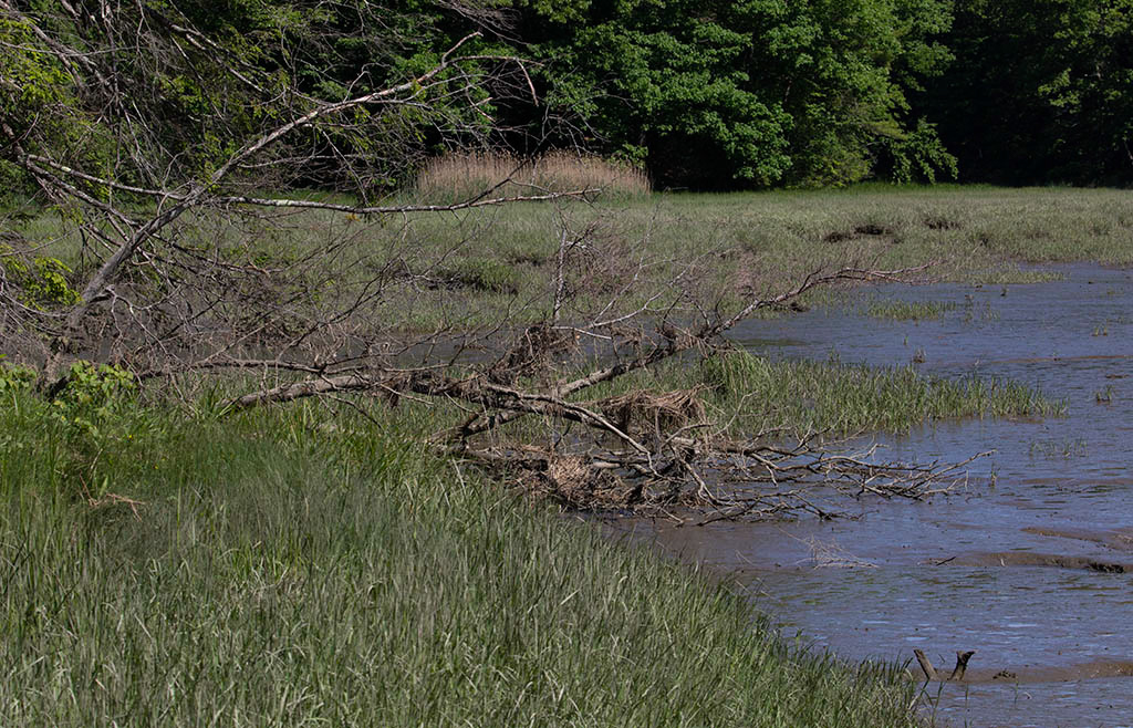 %_tempFileName20200608_0249w%