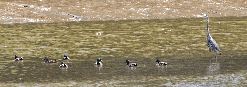 %_tempFileName20200612_0075w%