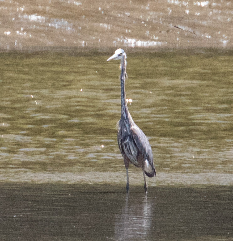 %_tempFileName20200612_0084w%