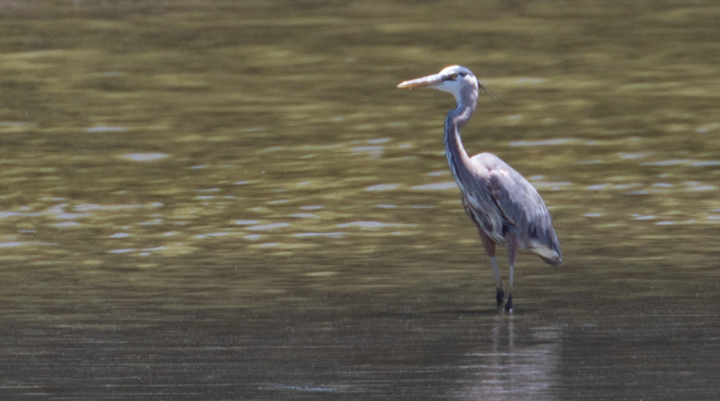 %_tempFileName20200612_0091w%