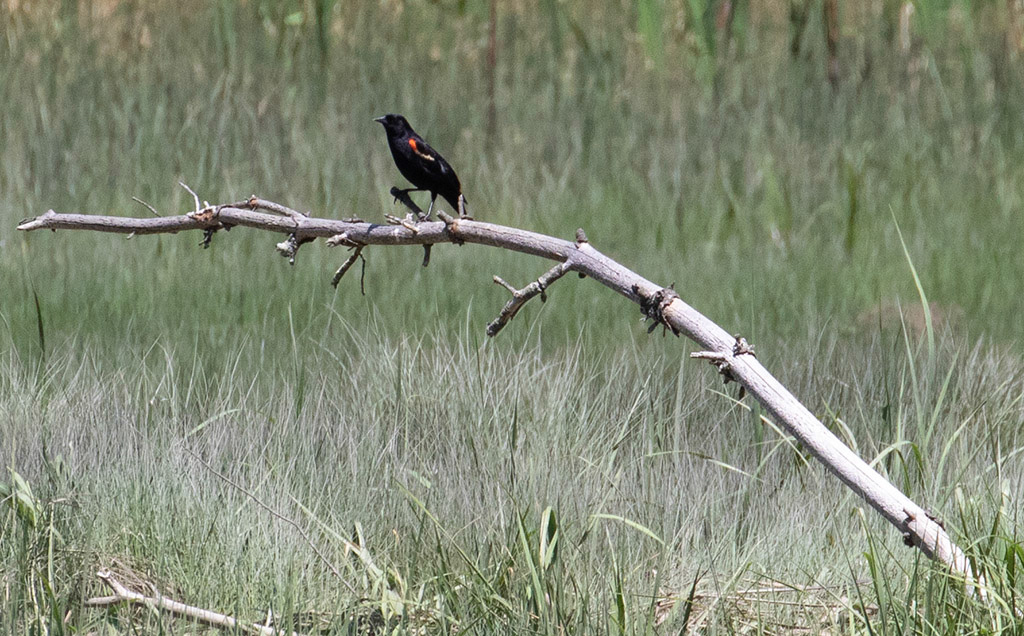 %_tempFileName20200612_0124w%