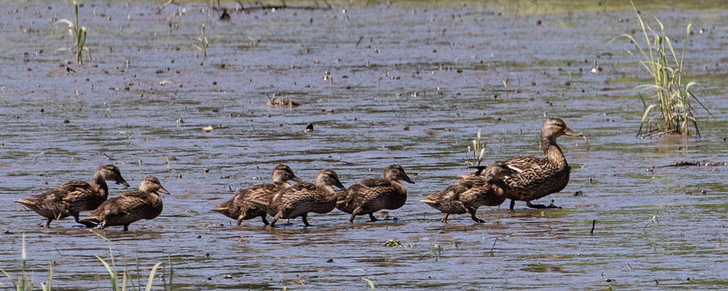 %_tempFileName20200616_0153w%