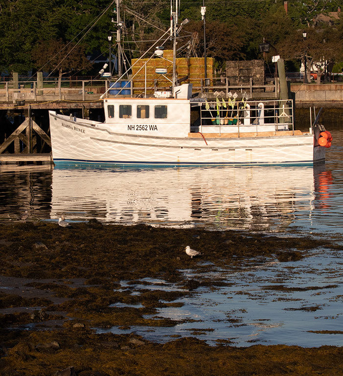 %_tempFileName20200617_0064w%