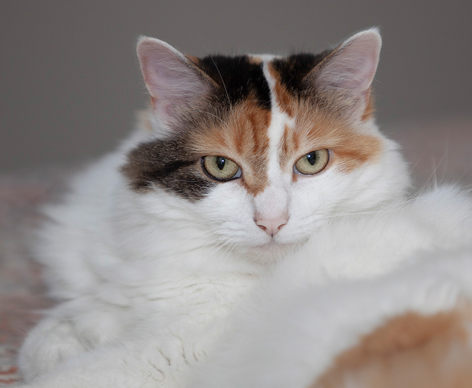 %_tempFileName20200908_050%