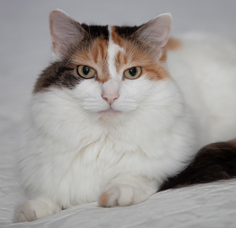 %_tempFileName20201003_0031w%