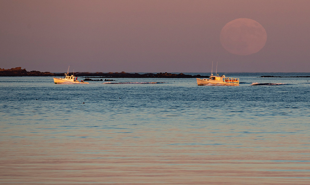 %_tempFileName20201129_0045w%