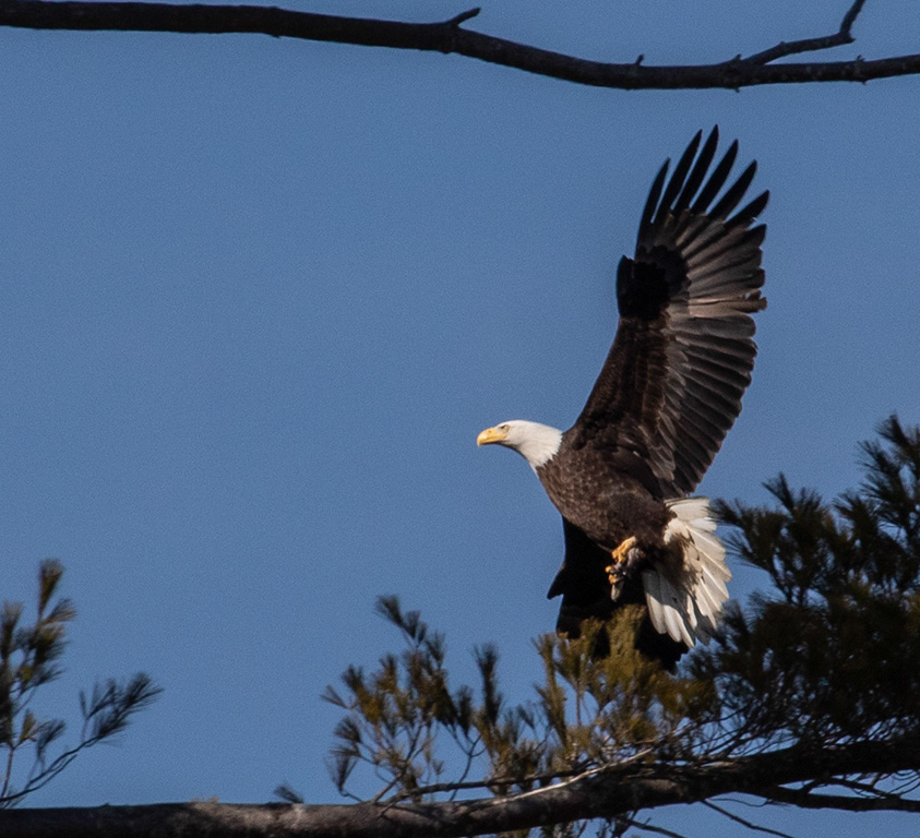 %_tempFileName20200224_0042w%