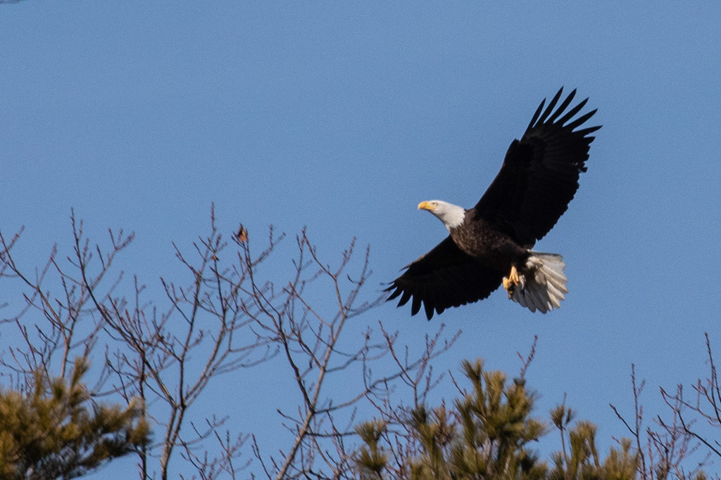 %_tempFileName20200224_0043w%