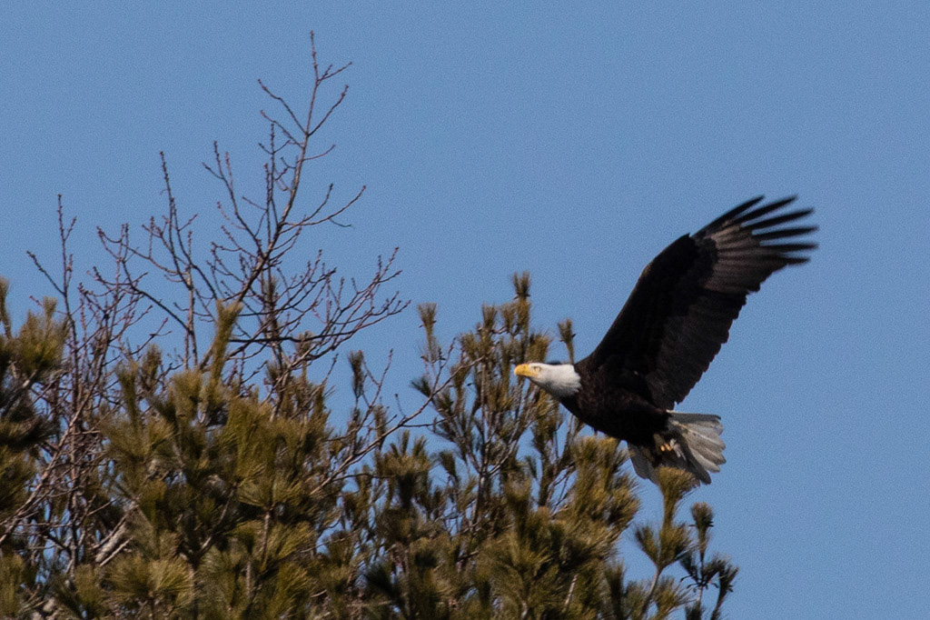 %_tempFileName20200224_0046w%