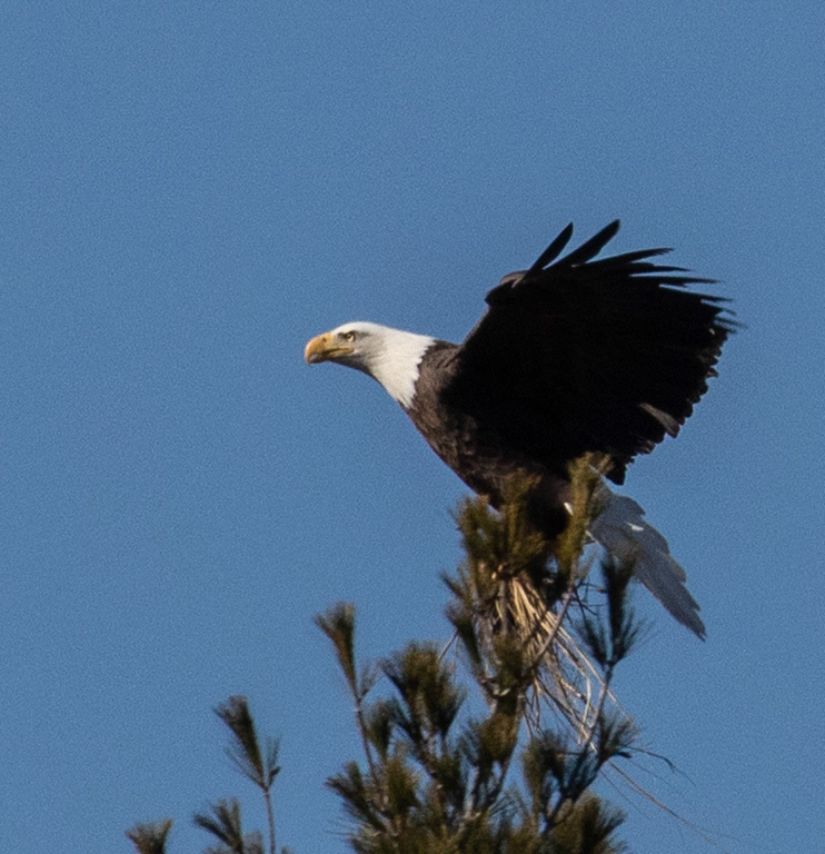 %_tempFileName20200224_0050w%