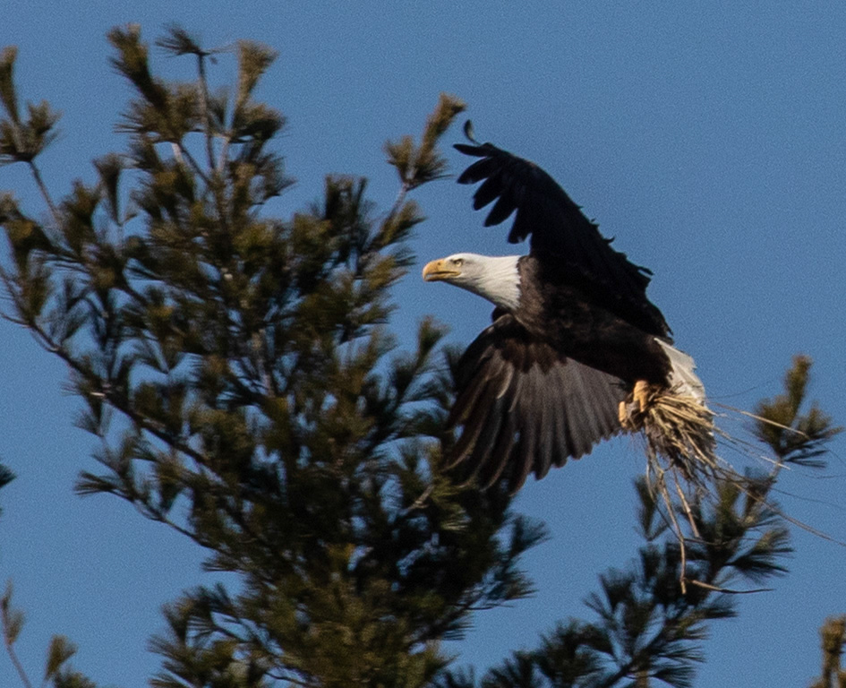 %_tempFileName20200224_0053w%