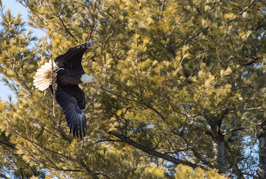 %_tempFileName20200224_0057w%