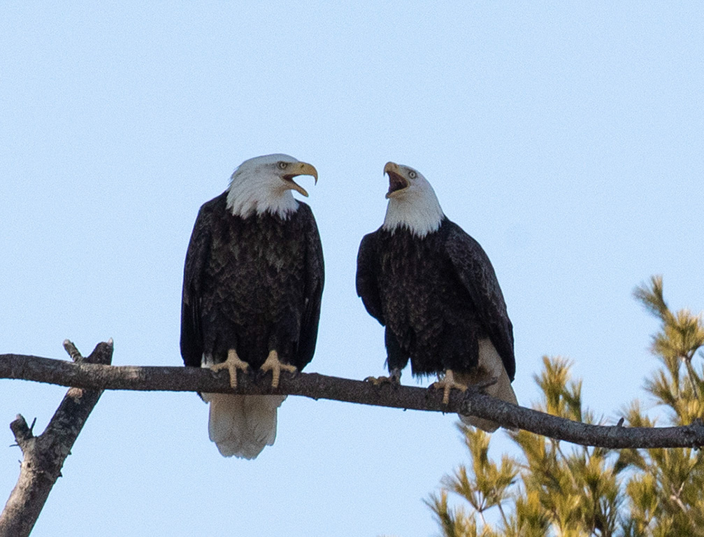 %_tempFileName20200224_0080w%