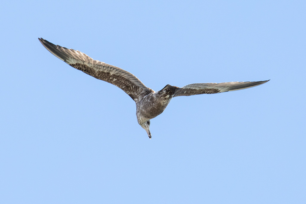 %_tempFileName20200224_0110w%