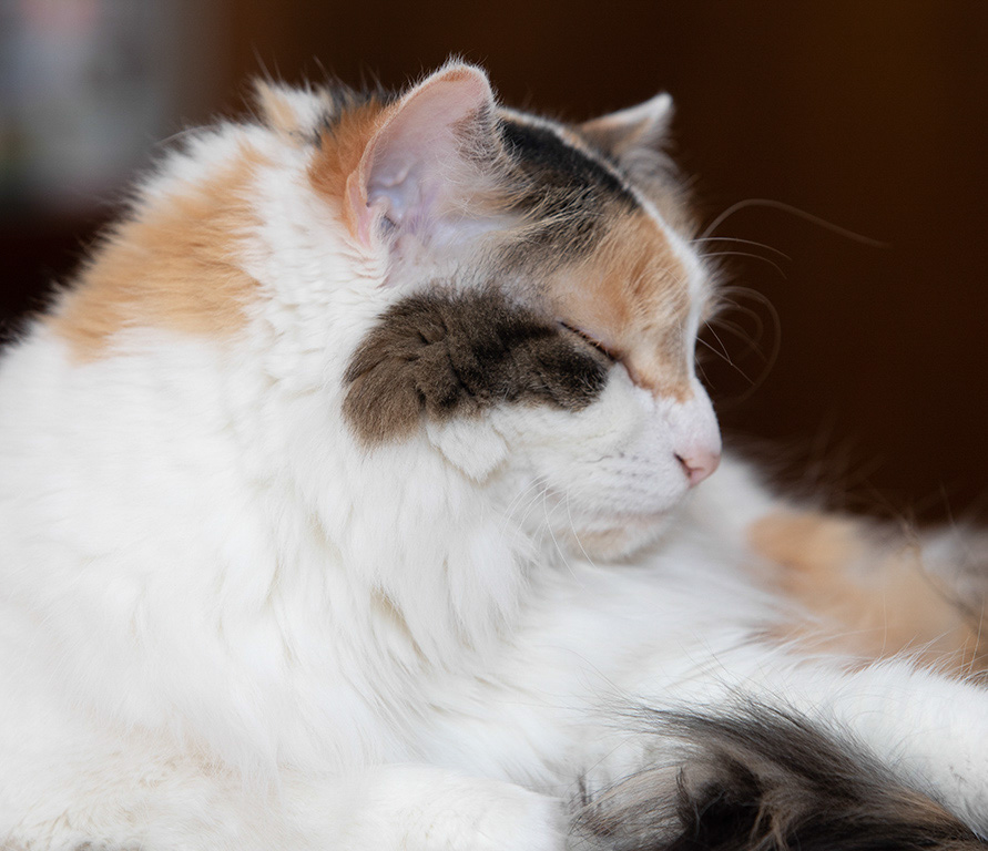 %_tempFileName20200416_0538w%