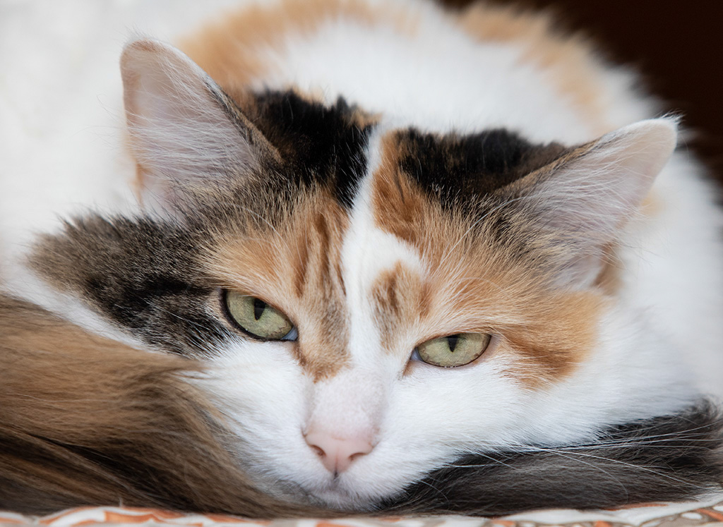 %_tempFileName20200416_0543w%