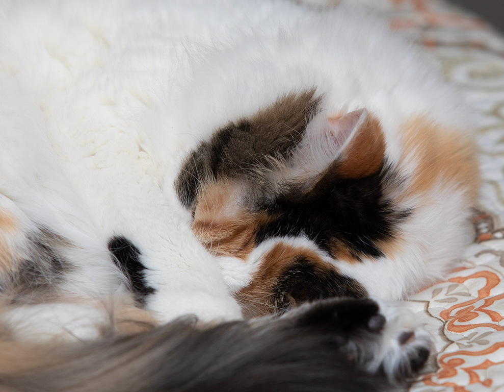 %_tempFileName20200416_0547w%