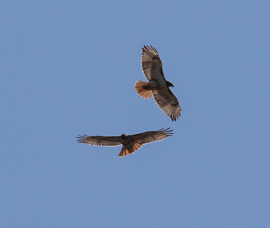 %_tempFileName20200417_0160w%