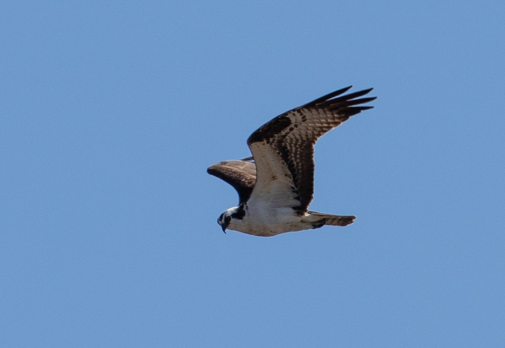 %_tempFileName20200417_0229w%