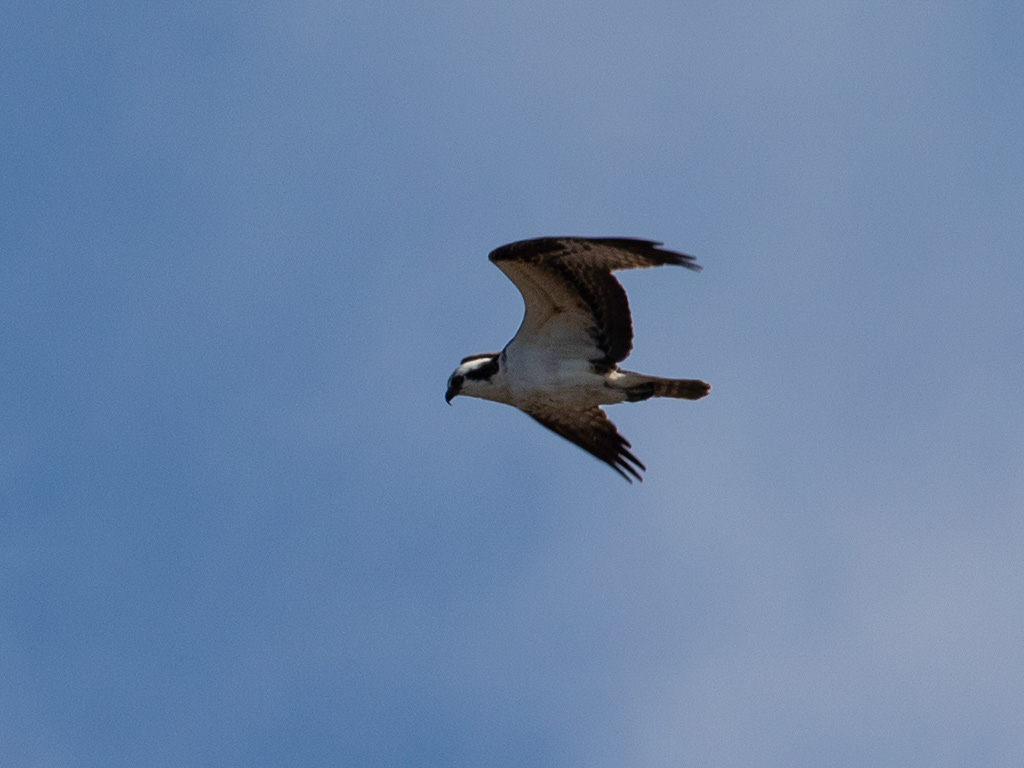 %_tempFileName20200417_0235w%