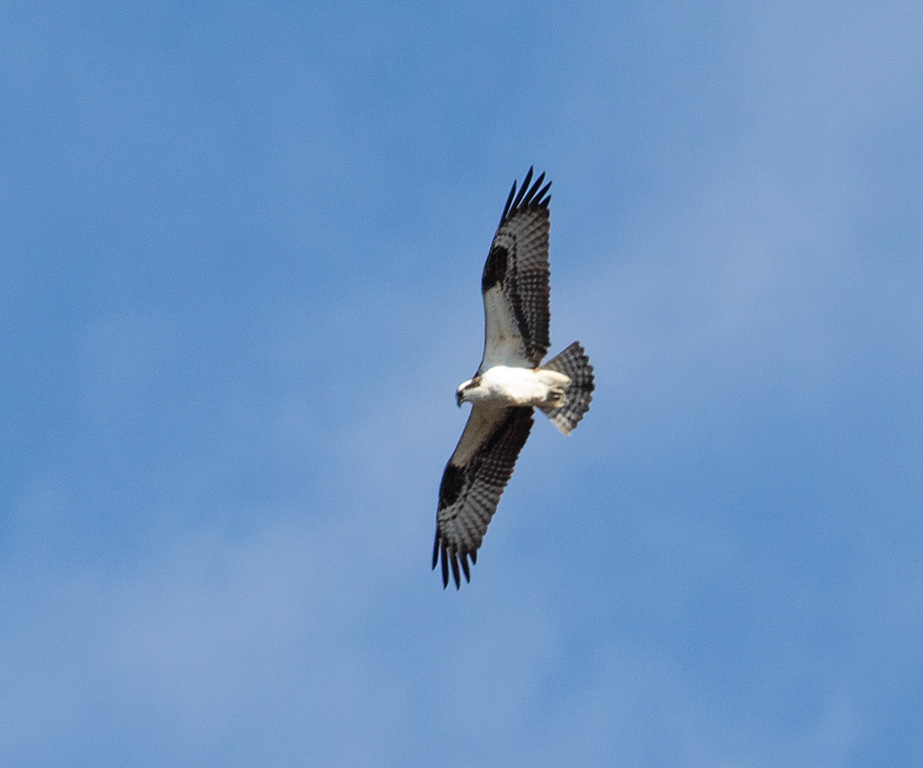 %_tempFileName20200417_0291w%