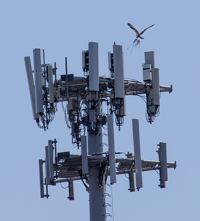 %_tempFileName20200419_0031w%