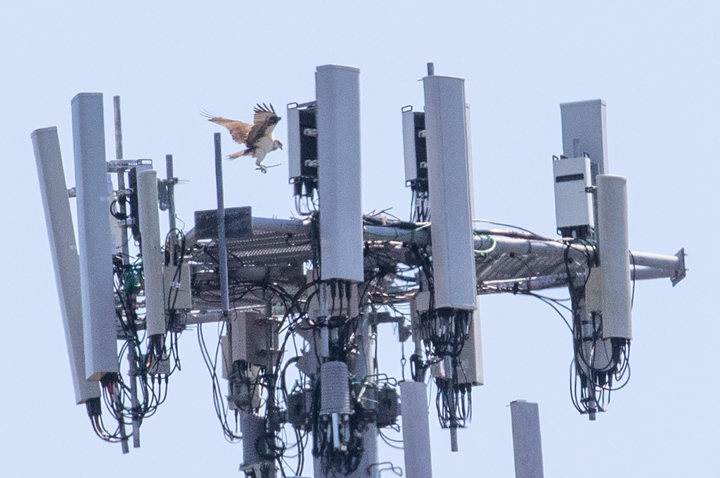 %_tempFileName20200419_0052w%