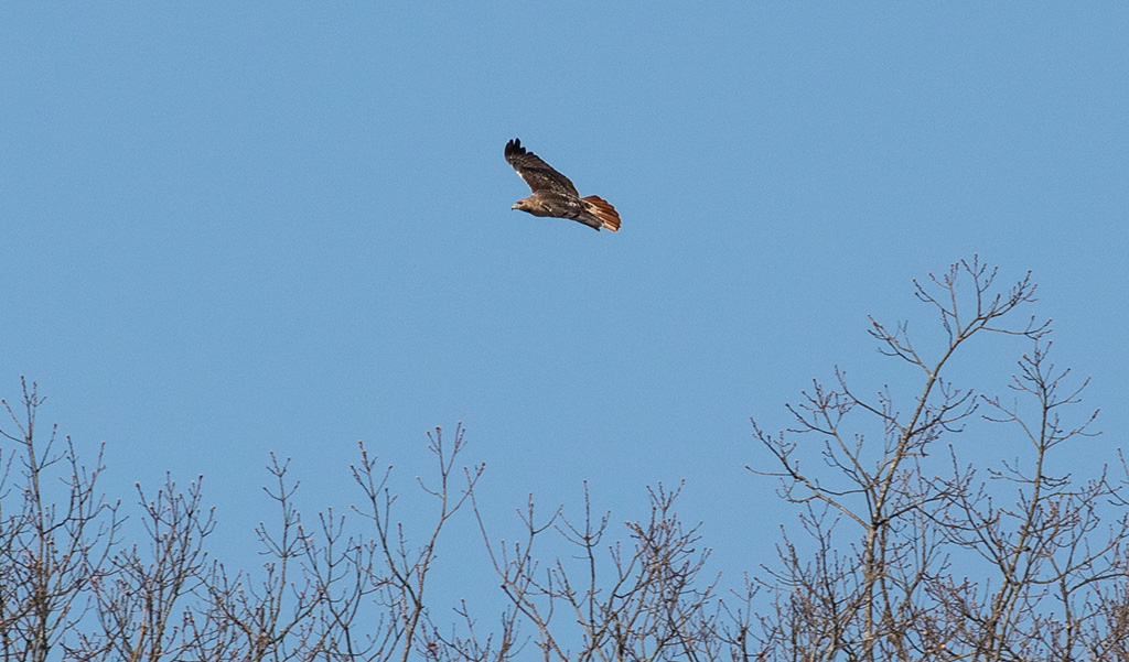 %_tempFileName20200419_0140w%