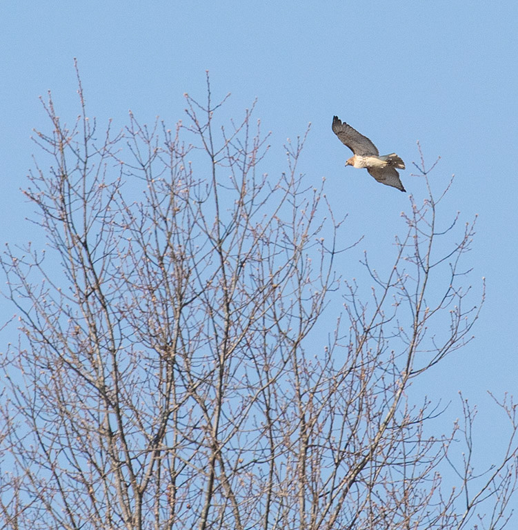 %_tempFileName20200419_0160w%