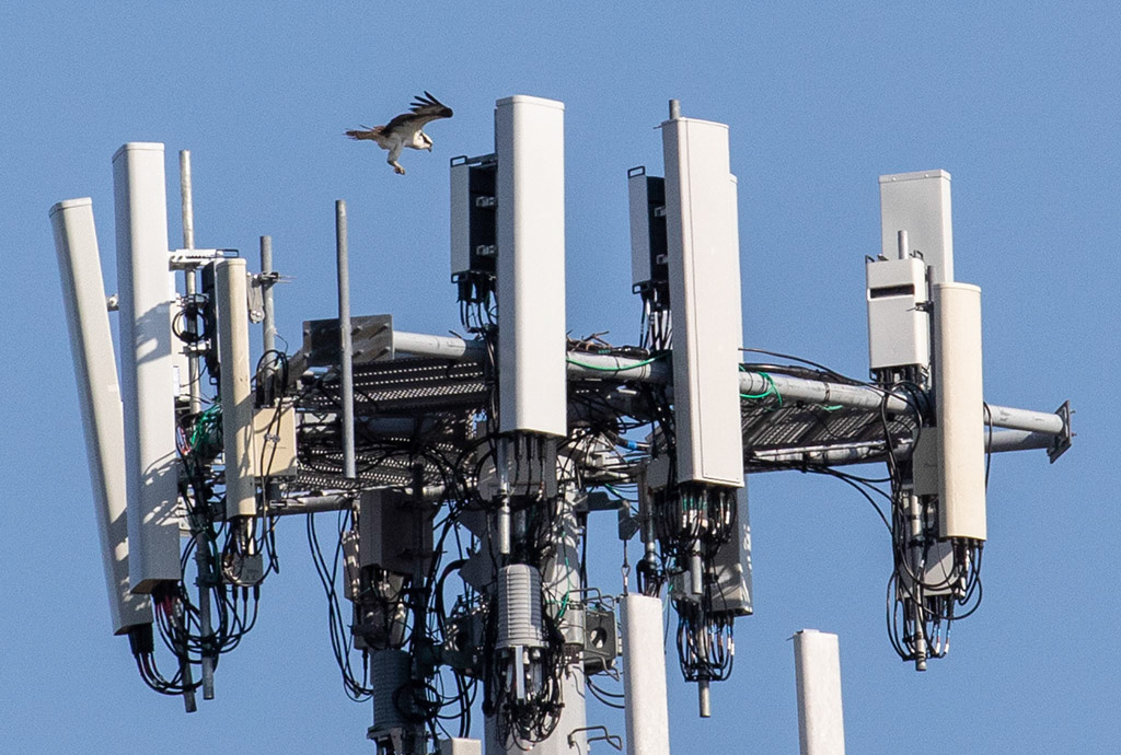 %_tempFileName20200419_0195w%