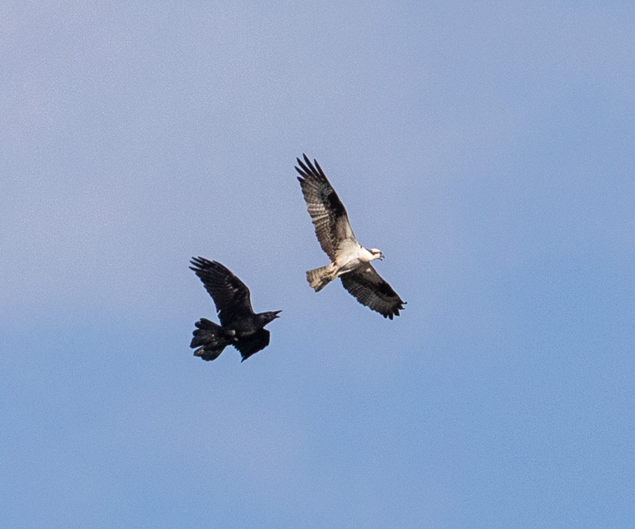 %_tempFileName20200419_0261w%