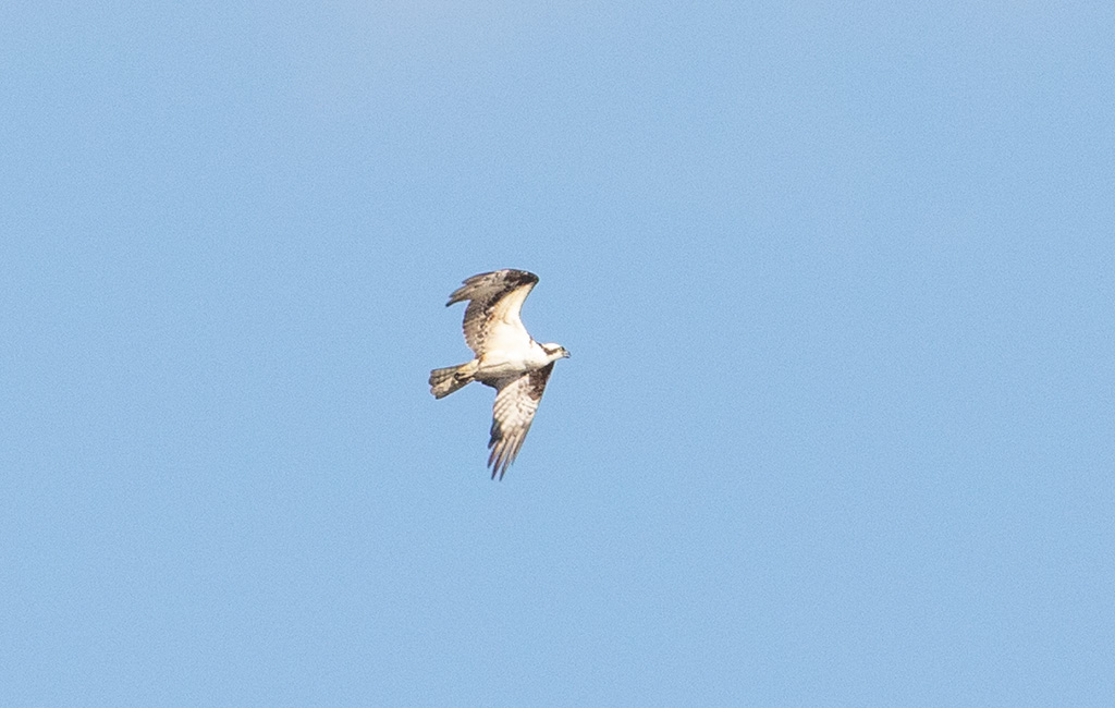 %_tempFileName20200419_0350w%