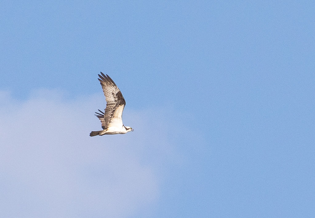 %_tempFileName20200419_0439w%