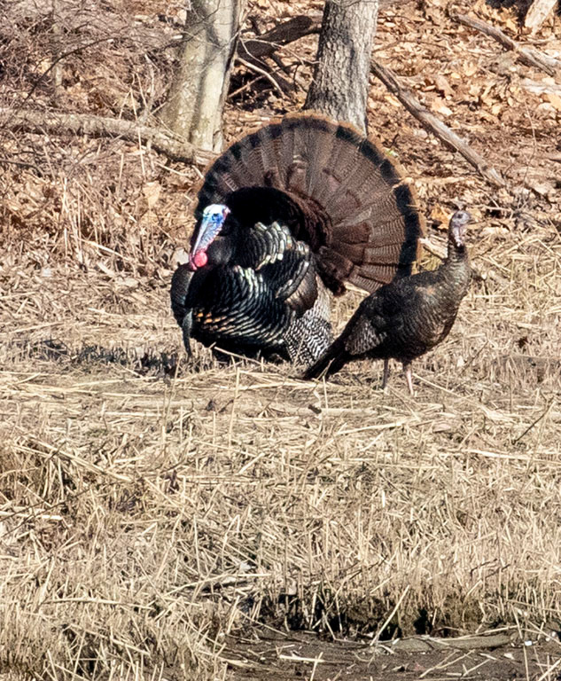 %_tempFileName20200419_0491w%