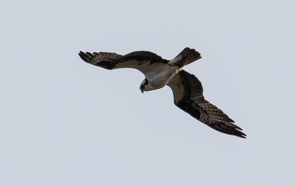 %_tempFileName20200420_025w%