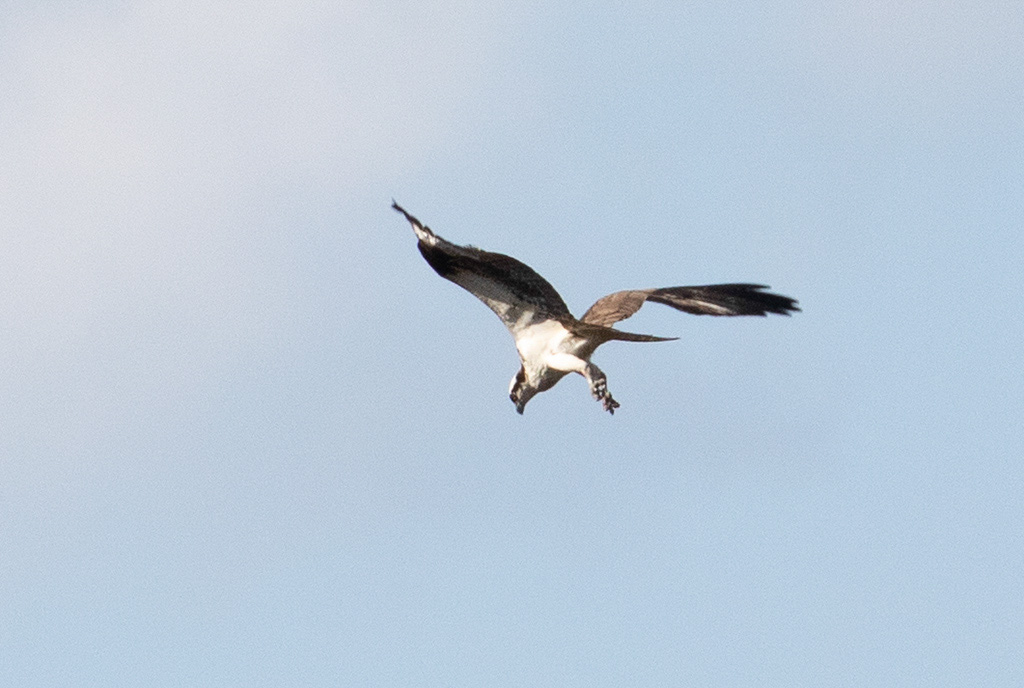 %_tempFileName20200503_0312w%