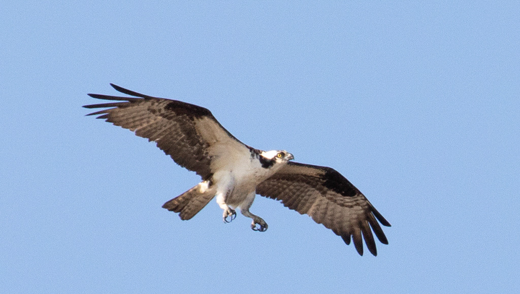 %_tempFileName20200503_0373w%