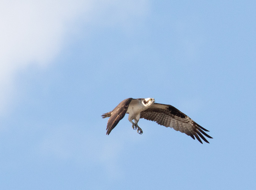 %_tempFileName20200503_0375w%