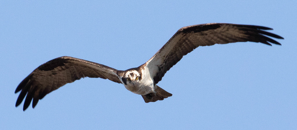 %_tempFileName20200503_0414w%