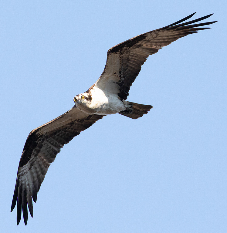 %_tempFileName20200503_0418w%