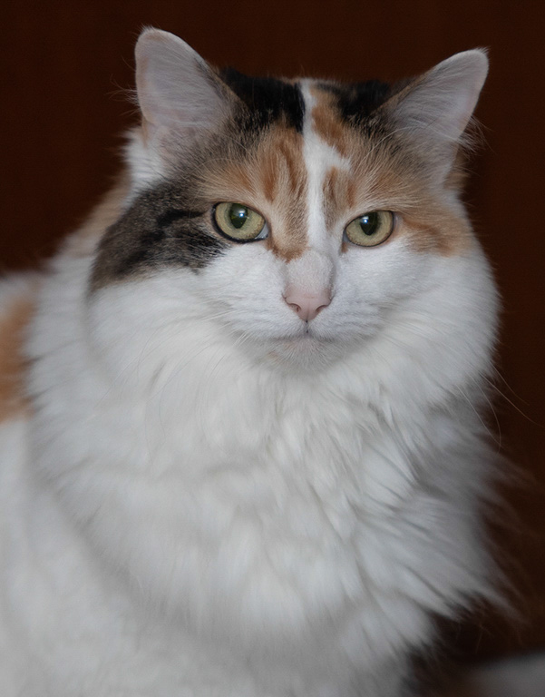 %_tempFileName20200430_0438w%