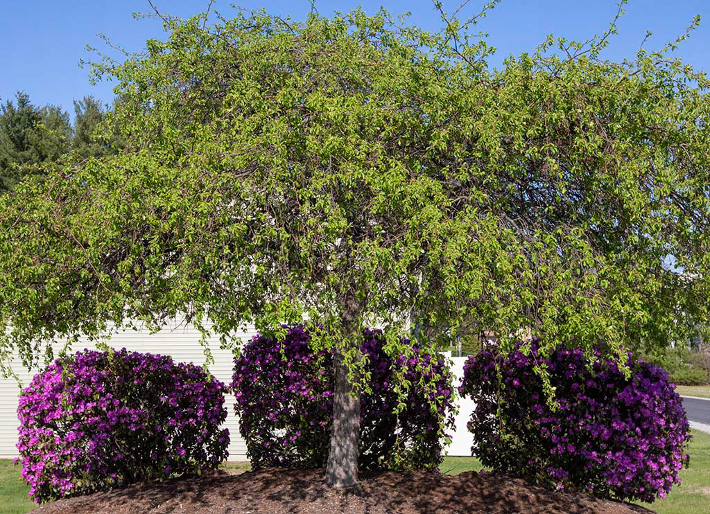 %_tempFileName20200503_0303w%